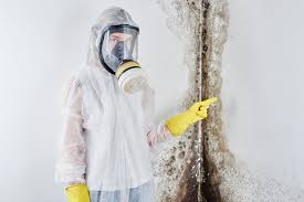 Why You Should Choose Our Mold Remediation Services in Christmas, FL